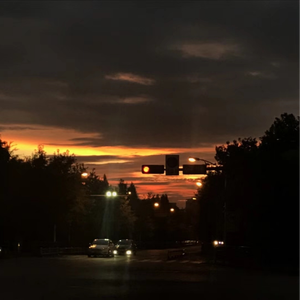 新疆男男XX呻吟XXgVGay
