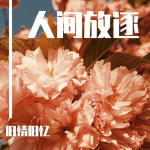 新疆男男XX呻吟XXgVGay
